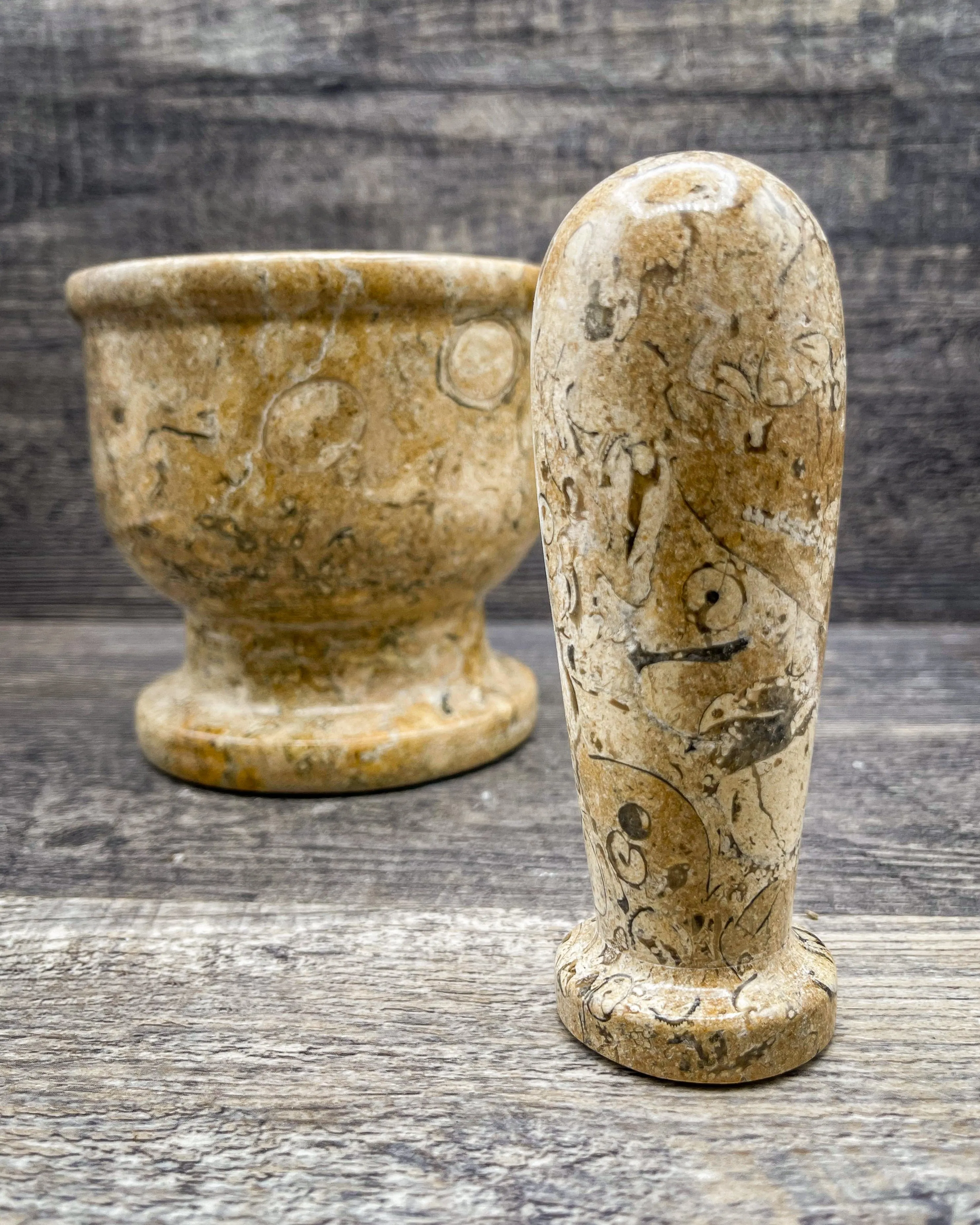 Fossilized Coral Mortar & Pestle