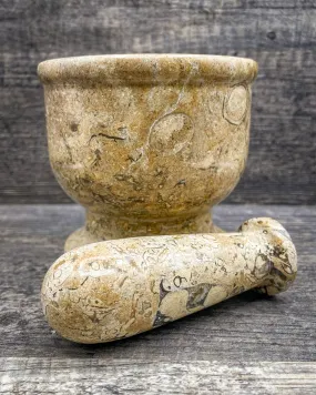 Fossilized Coral Mortar & Pestle