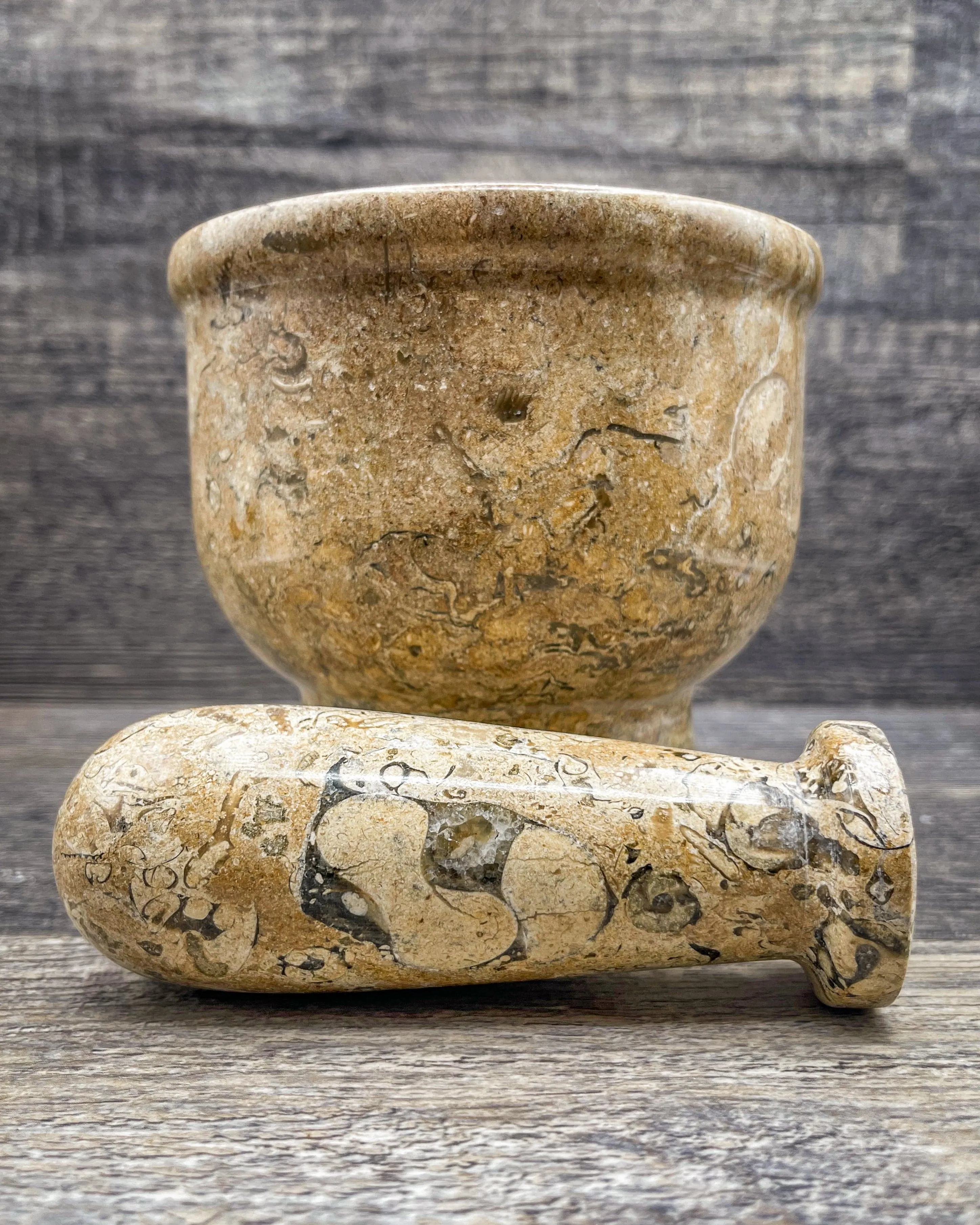 Fossilized Coral Mortar & Pestle