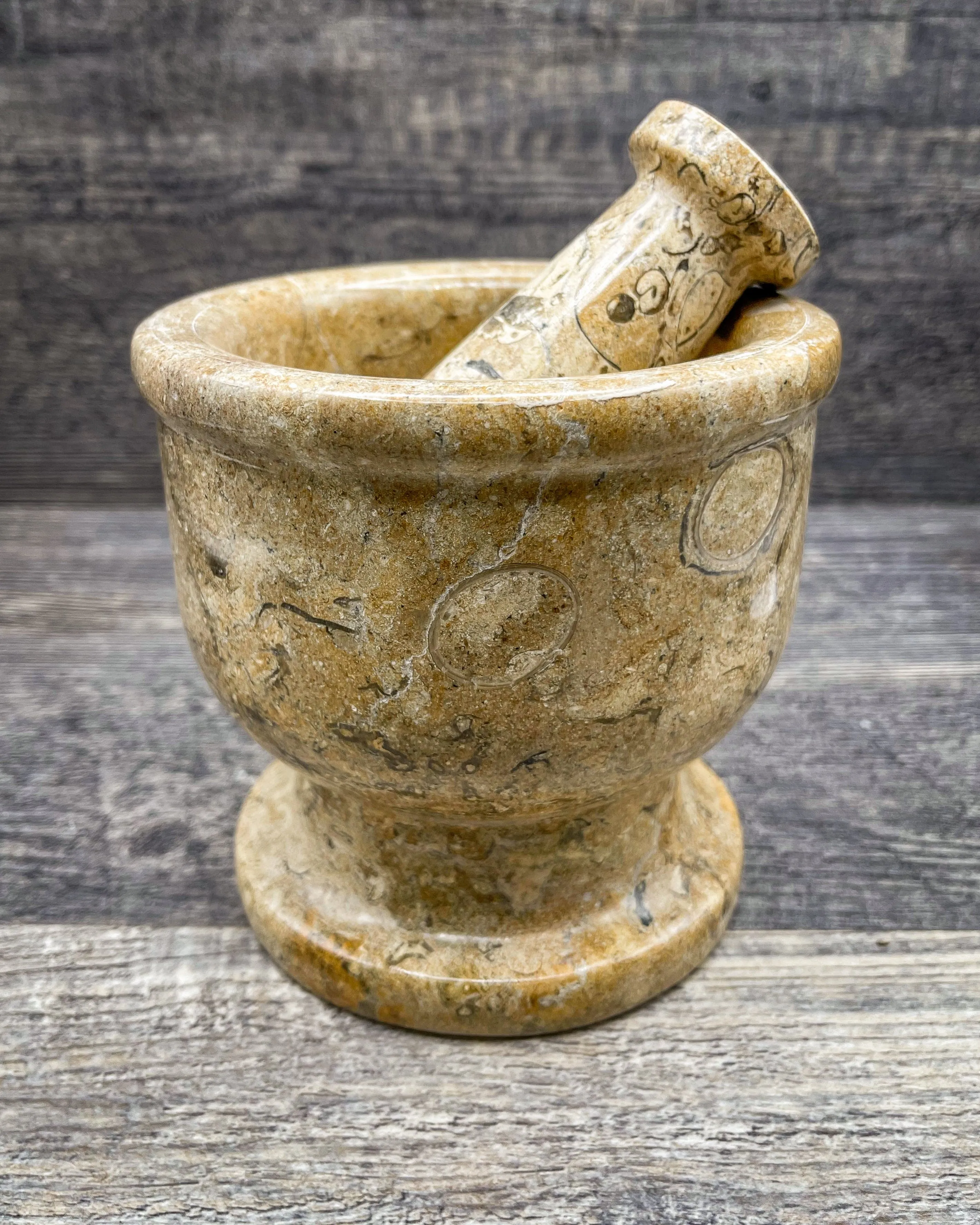 Fossilized Coral Mortar & Pestle