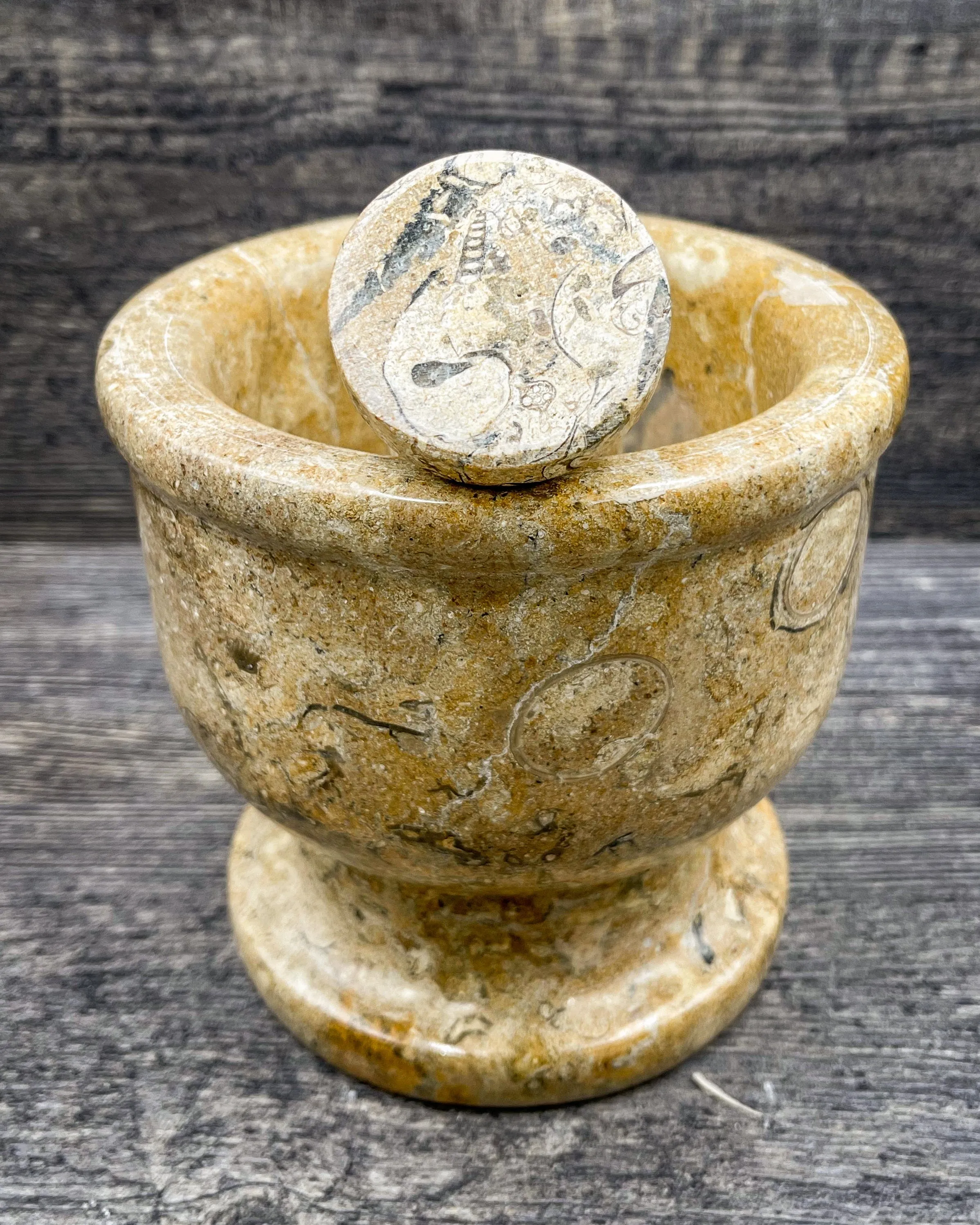 Fossilized Coral Mortar & Pestle