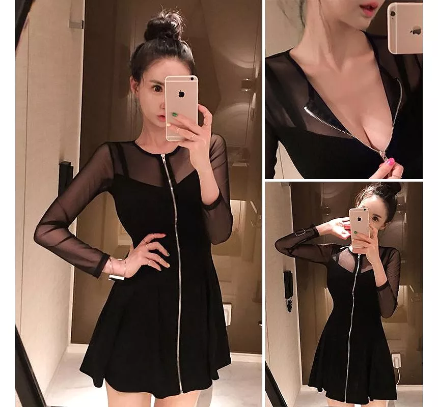 Long-Sleeve Crew Neck Plain Zip-Up Sheer Panel Mini A-Line Dress aa33