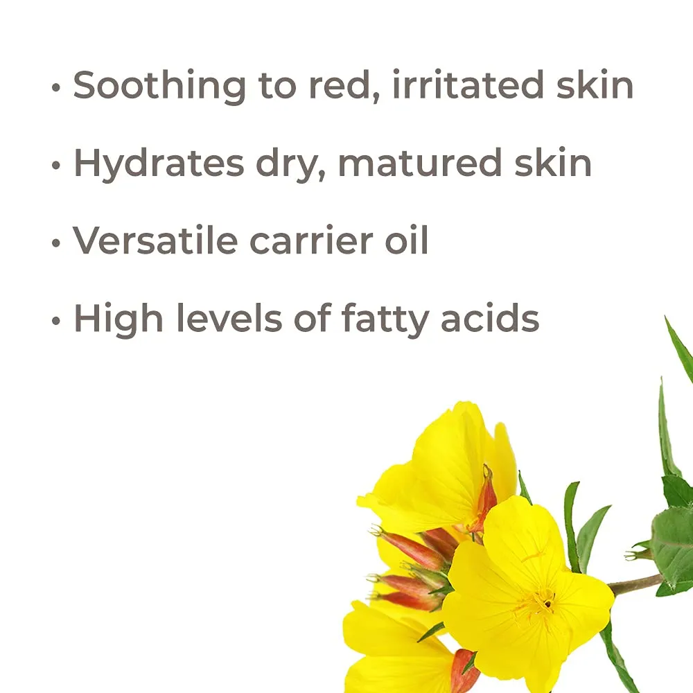 Plant Therapy Evening Primrose Carrier Oil